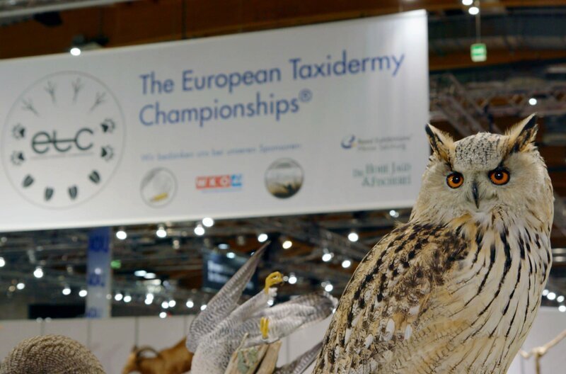 Bei den European Taxidermy Championships – Bild: Dieter Stürmer /​ Bei den European Taxidermy Championships
