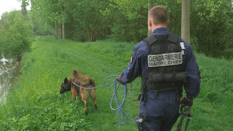 Mit Spürhunden durchkämmt die Kriminalpolizei Rouen die gesamte Umgebung. – Bild: ZDF und PHARE OUEST PRODUCTIONS./​PHARE OUEST PRODUCTIONS