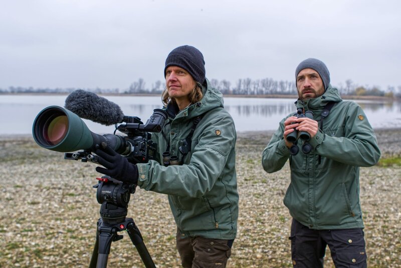 Tierfilmer hautnah – Bild: ORF /​ PKM Film