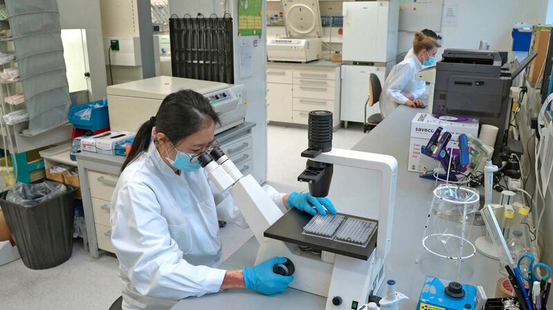 Neue Waffen gegen Krebs – Bild: SWR /​ SWR Presse/​Bildkommunikation