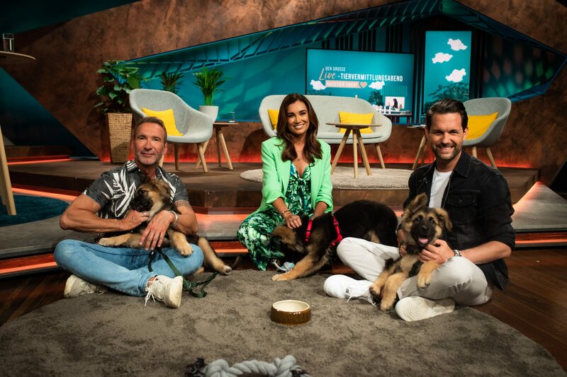 Der große Live-Tierschutzabend – Bild: SAT.1 GOLD /​ Benedikt Müller Eigenproduktionsbild frei