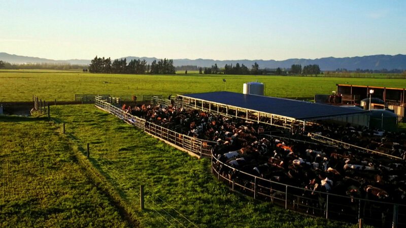 Ausgerechnet Neuseeland – Eine Farm am grünen Ende der Welt Die Farm in Pahau Neuseeland SRF/​ZDF – Bild: SRF2
