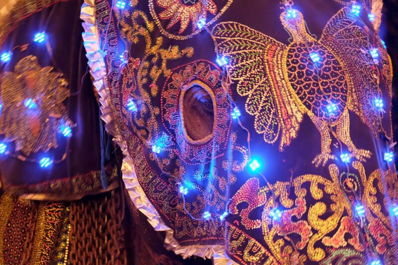 Kandys Perahera - Elefantenprozession in Sri Lanka – Bild: 3sat