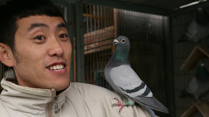 Himmel über Peking – Bild: ZDF und Martin Gronemeyer