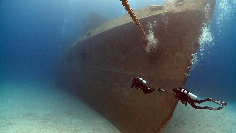 Taucher sehen sich Schiffswrack an. – Bild: TVNOW