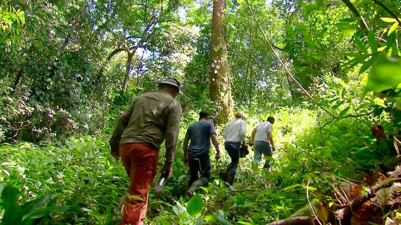 Abholzung, Armut, Klimawandel sind in Panama ein Teufelskreis. Zwei Unternehmer setzen dem den „Generationenwald“ entgegen: Sie forsten auf – und schaffen damit ein nachhaltiges Geschäftsmodell. – Bild: phoenix/​SWR
