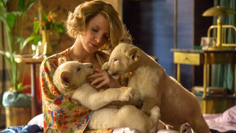 Antonina (Jessica Chastain) hat ein Händchen für Katzen jeder Größe. – Bild: ZDF und Anne Marie Fox / Focus Features./Anne Marie Fox / Focus Features Antonina (Jessica Chastain) hat ein Händchen für Katzen jeder Größe. – Bild: ZDF und Anne Marie Fox / Focus Features./Anne Marie Fox / Focus Features