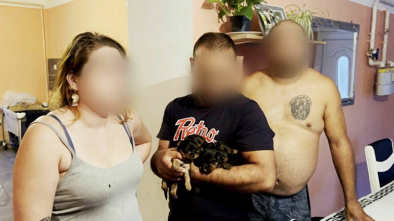 SRF DOK: Auf der Spur der Hunde-Dealer Welpen-Vermehrer in Ungarn SRF – Bild: SRF1 SRF DOK: Auf der Spur der Hunde-Dealer Welpen-Vermehrer in Ungarn SRF – Bild: SRF1