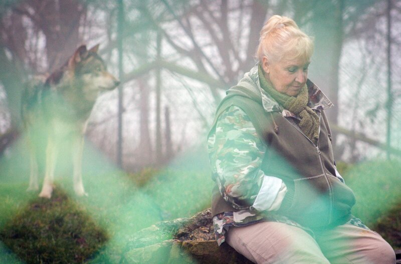 Misha und die Wölfe – Bild: arte