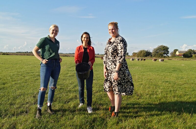 Stadt - Land - Check – Bild: NDR/​casei media GmbH