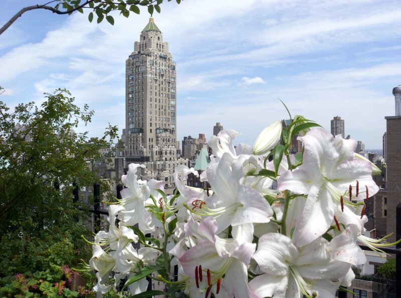 Ein Lilienbeet auf dem 15. Stock eines Wohnhauses auf der Upper East Side in Manhattan. Die üppige Bepflanzung hat nichts mit einer Dachterrasse zu tun, wie wir sie kennen. – Bild: BR/​Veronika Hofer