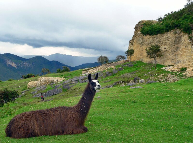 hr-fernsehen PERU – VON GOLDGRÄBERN UND WUNDERHEILERN, Ein Film von Julia Leiendecker, am Freitag (16.03.12) um 14:30 Uhr. Festungsstadt Kuelap. – Bild: HR/​SR/​Julia Leiendecker