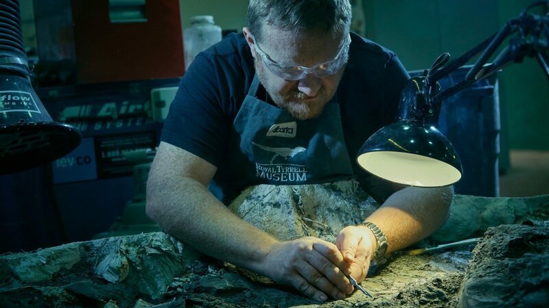 In jahrelanger akribischer Kleinarbeit wer-den die Knochen des Nodosauriers vom Gestein befreit und wieder zusammengesetzt. – Bild: ZDF und Simon Schneider./​Simon Schneider