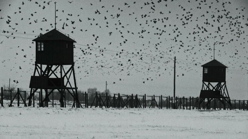 W. – Was von der Lüge bleibt KZ Majdanek SRF/​Peacock Film – Bild: SRF1