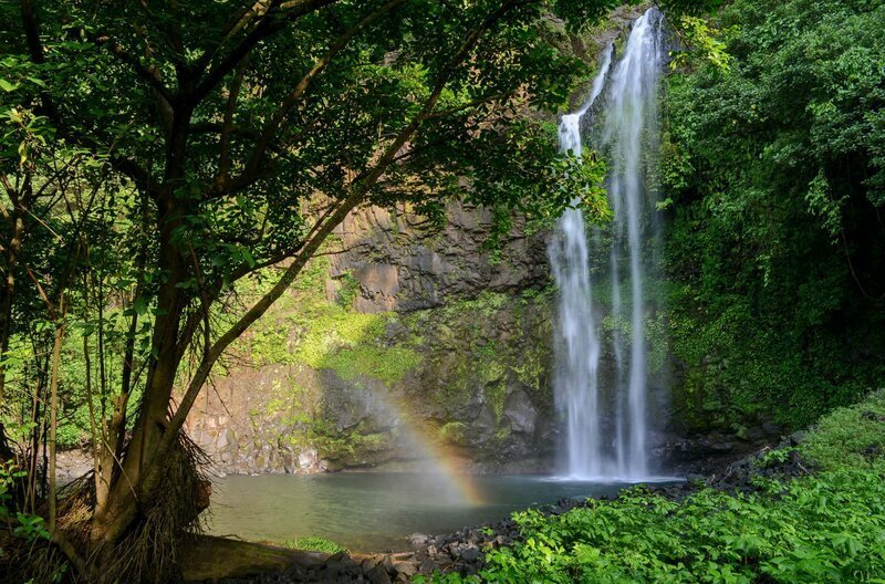 Der Luara-Wasserfall auf der Insel Bioko – Bild: NDR /​ © Tania Escobar/​Doclights GmbH