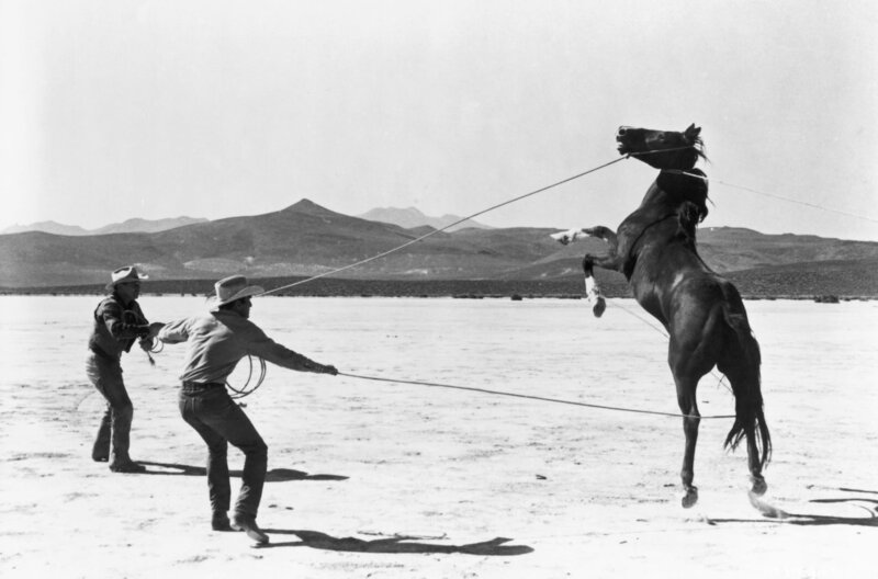 Misfits - Nicht gesellschaftsfähig – Bild: ARTE France /​ © 1961 Seven Arts Productions, Inc./​All rights reserved