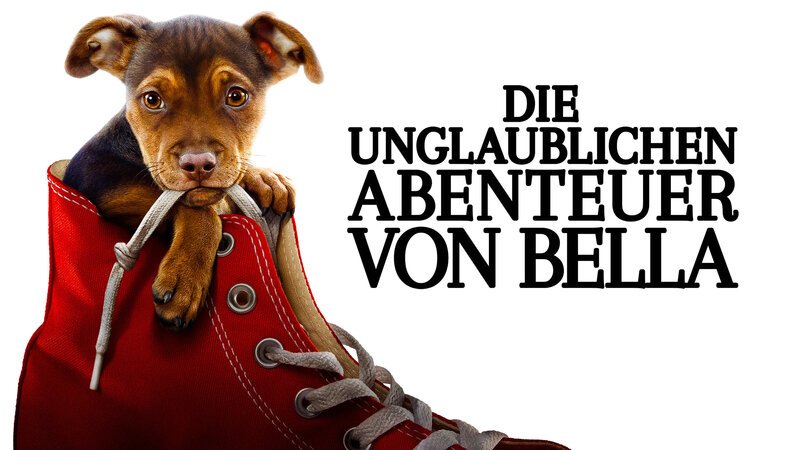 Die unglaublichen Abenteuer von Bella – Artwork – Bild: Puls 8