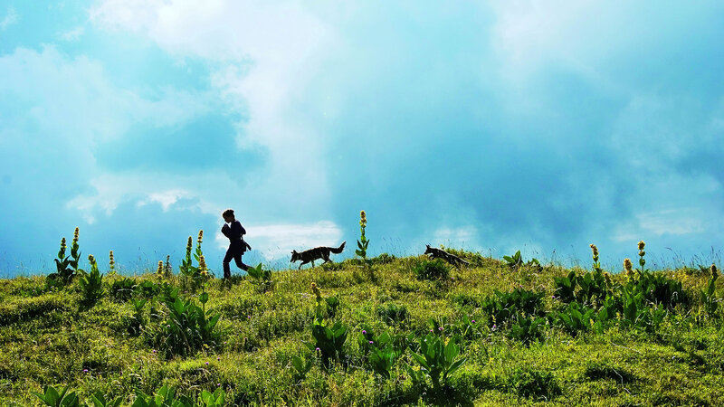 Der Fuchs und das Mädchen – Bild: Bibel TV