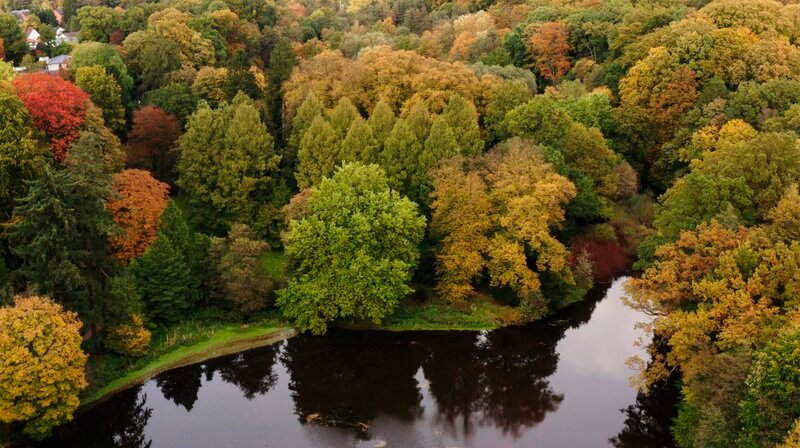 Eine bunte Insel mit Bäumen aus aller Welt, mitten in Hamburg: das Arboretum Marienhof. (Weitere Bilder auf Anfrage.) – Bild: NDR/​DocLights