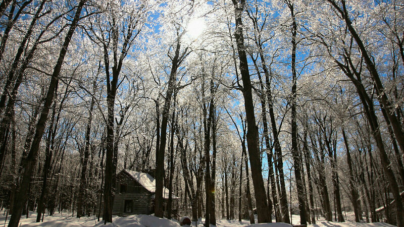 Let It Snow – Bild: SRF2