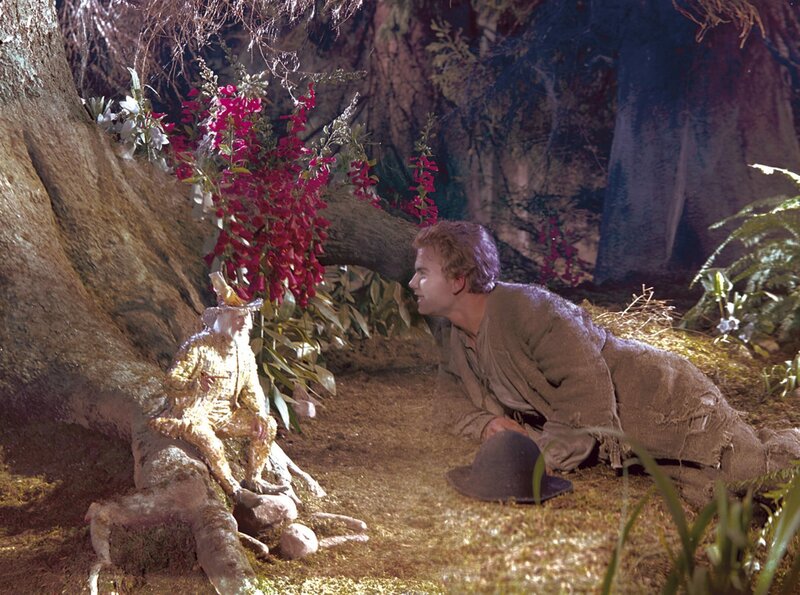 Das kalte Herz – Bild: rbb/​PROGRESS Film-Verleih/​Erich Kilian