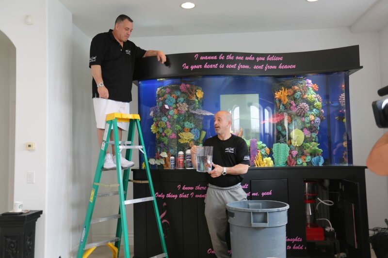 Die Aquarium-Profis Staffel 8 Episodenguide – fernsehserien.de