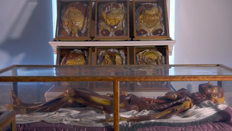 Anatomische Modelle Josephinum Wien – Bild: ZDF und ORF/Langbein & Partner. Anatomische Modelle Josephinum Wien – Bild: ZDF und ORF/Langbein & Partner.