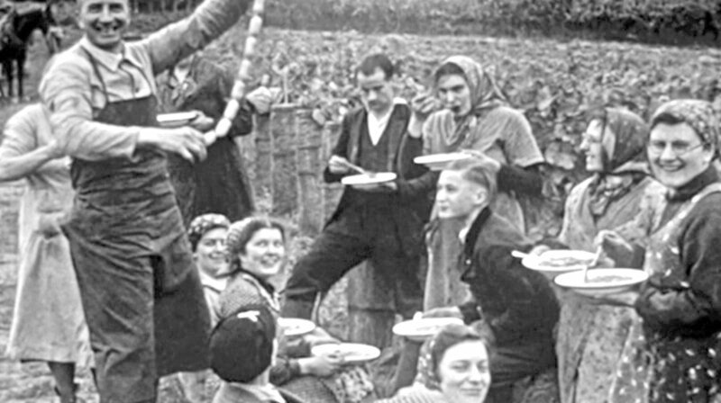 Vesper während der Weinlese, in der Pfalz um 1930. – Bild: SWR