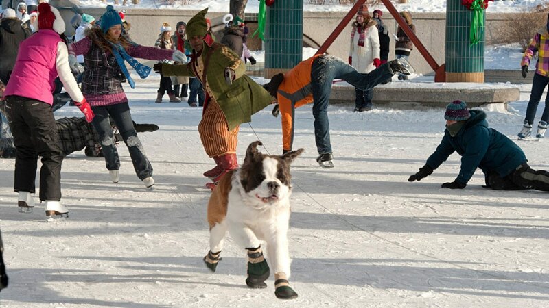 Beethovens abenteuerliche Weihnachten – Bild: RTL Zwei