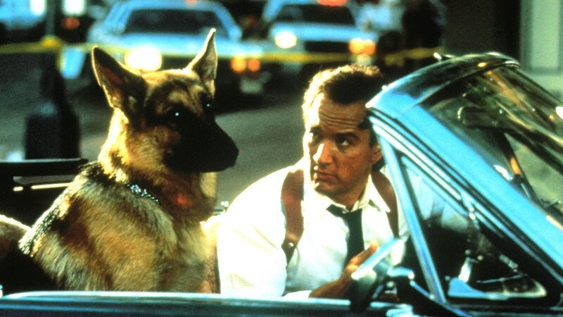 Mein Partner Mit Der Kalten Schnauze Netflix Mein Partner mit der kalten Schnauze – fernsehserien.de