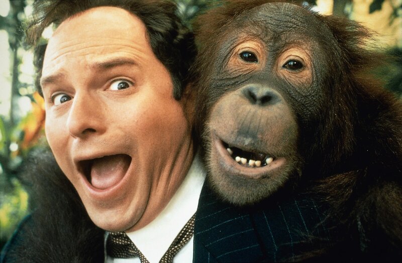 Dunston - Allein im Hotel – Bild: RTL Zwei