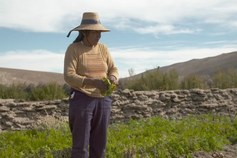 Die Kolla-Indianerin Norma kümmert sich gemeinsam mit ihren Schwestern um das Erbe ihrer verstorbenen Mutter: ein Stück Land in der Puna, einer Hochwüste in den argentinischen Anden, und eine Lama-Herde. – Bild: HR Die Kolla-Indianerin Norma kümmert sich gemeinsam mit ihren Schwestern um das Erbe ihrer verstorbenen Mutter: ein Stück Land in der Puna, einer Hochwüste in den argentinischen Anden, und eine Lama-Herde. – Bild: HR