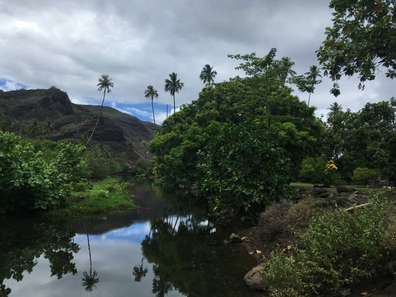 Inland von Nuku Hiva (Französisch-Polynesien) mit Fluß und Bergen im Hintergrund. – Bild: Bewegte Zeiten Filmproduktion GmbH/​BR/​Deborah Stöckle