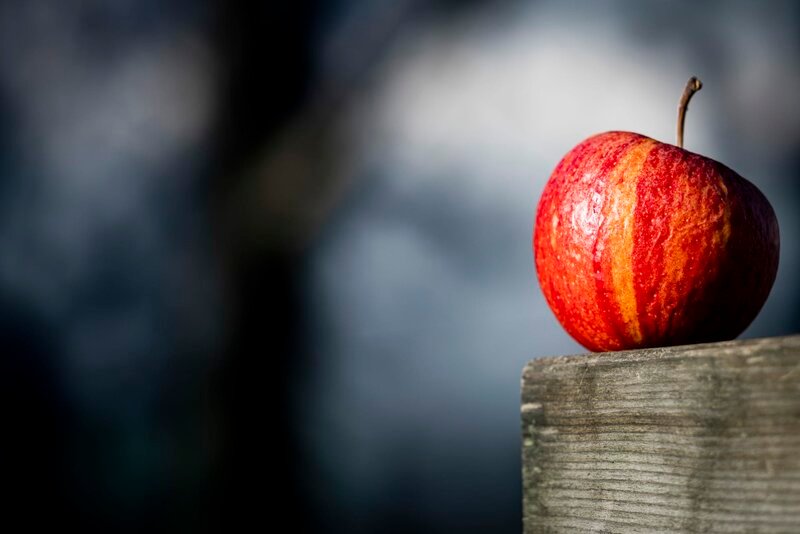 Wie gesund ist eigentlich ein Apfel? – Bild: ServusTV / Manuel Seeger Wie gesund ist eigentlich ein Apfel? – Bild: ServusTV / Manuel Seeger