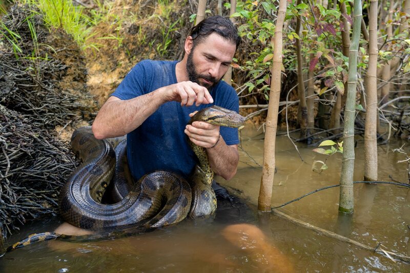 Hazen Audel holding an Anaconda in a river. (National Geographic/​Adam Laister) – Bild: Adam Laister /​ National Geographic/​Adam Laister /​ National Geographic
