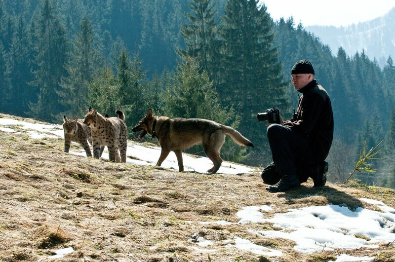 Milos und die Luchse – Bild: ORF/​Cosmos Factory/​Tomas Hulik
