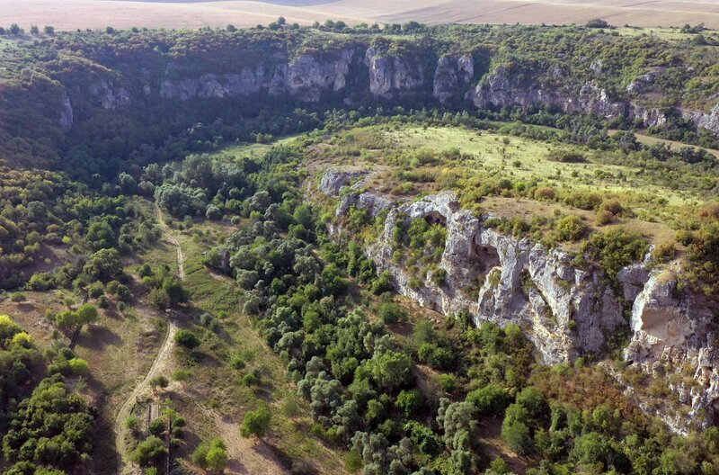 Die fabelhafte Welt der Fledermäuse – Bild: arte