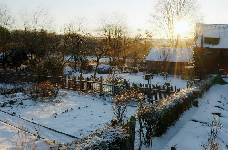 Die Kälte ist oft erbarmungslos: Der Frost setzt der Natur und dem Garten zu und so zieht sich alles zurück oder verendet. – Bild: Jörg Adams/​Johannes Backes/​Oliver Giel