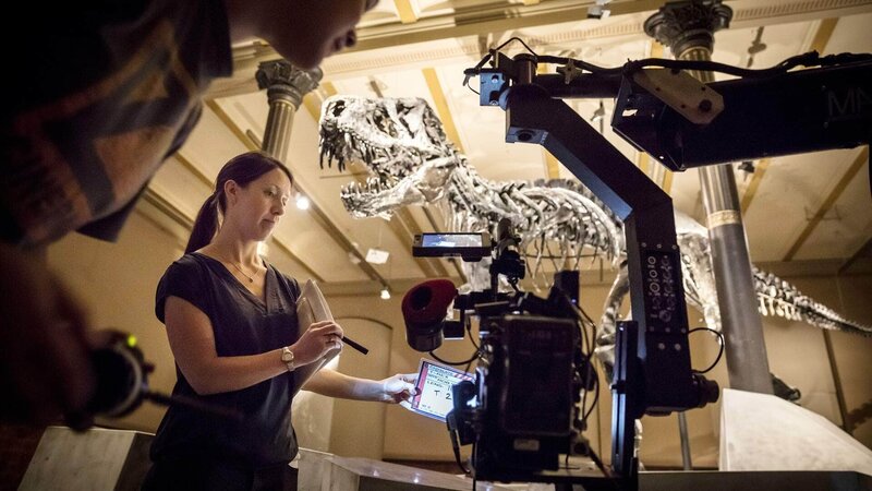 Tyrannosaurus Rex - Das Neueste vom Urzeit-Killer – Bild: Geo Television /​ Talesmith Ltd 2017 Die Verwendung des Materials von RTL Deutschland ist nur zur redaktionellen Berichterstattung im Zusammenhang mit der Sendung unter Angabe der Credits/​Quellenangabe