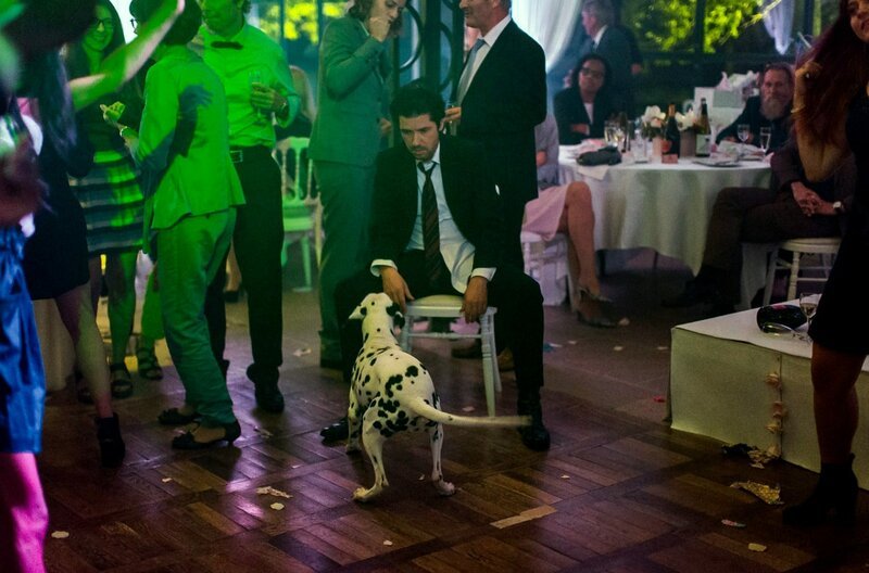 Vincent (Melvil Poupaud) auf der Hochzeitsfeier: Schon am nächsten Tag wird er des versuchten Mordes beschuldigt, und einziger Zeuge der Szene ist der Hund des Opfers. – Bild: Audoin Desforges