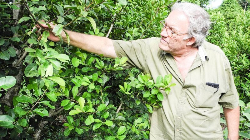 Der Yerba-Mate-Produzent Klaus Neumann auf seiner Plantage in Paraguay. – Bild: RTL /​ MedienKontor/​ German Kral