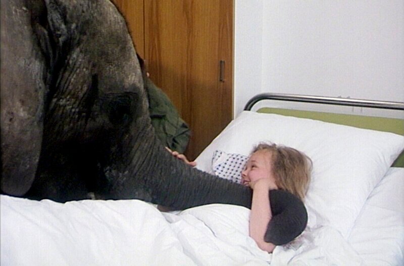 Tilly (Anna Marr) ist begeistert und versteht sich prächtig mit dem Elefantenkind. – Bild: MDR/​DEFA-Stiftung/​Günter Jaeuth