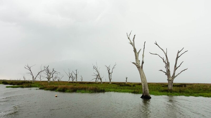 Der Untergang des Marschlands Südlouisianas begann in den 1950er Jahren, als der Flusslauf des Mississippi wegen der Überflutungsgefahr umgeleitet wurde.   Die Verwendung des sendungsbezogenen Materials ist nur mit dem Hinweis und Verlinkung auf RTL+ gestattet. – Bild: RTL /​ MedienKontor/​ Vivien Vogel