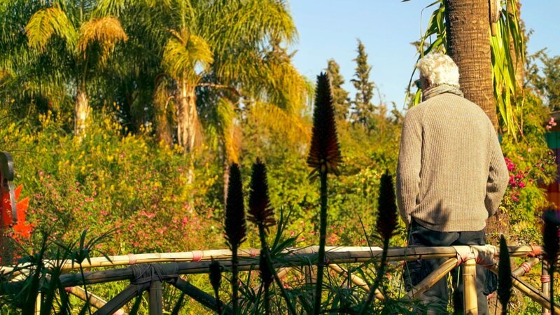 André Heller. – Bild: ORF/​Stephan Mussil