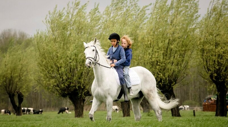 Finn (Mels van der Hoeven) und Erik (Justin Emanuels) auf dem Pferd Petit Gris. – Bild: SWR/WDR/Pief Weyman Finn (Mels van der Hoeven) und Erik (Justin Emanuels) auf dem Pferd Petit Gris. – Bild: SWR/WDR/Pief Weyman
