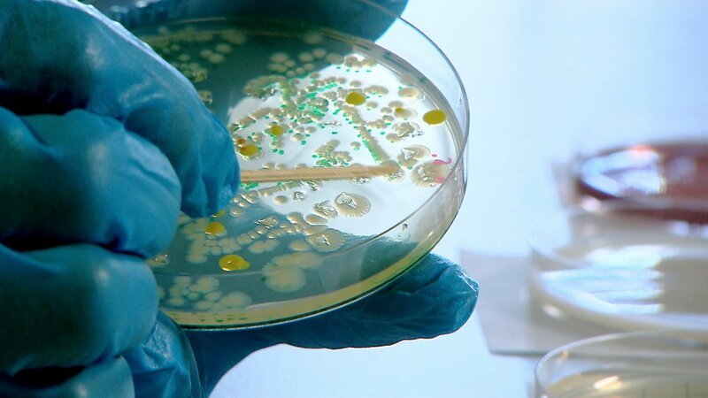 Allein in Deutschland werden 1.700 Tonnen Antibiotika in der industriellen Tierzucht eingesetzt. – Bild: NDR/Thurn Film Allein in Deutschland werden 1.700 Tonnen Antibiotika in der industriellen Tierzucht eingesetzt. – Bild: NDR/Thurn Film