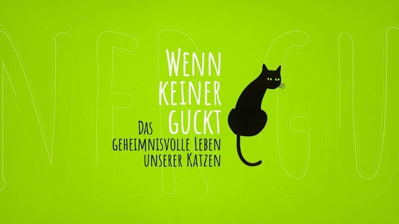 Das Logo zu „Wenn keiner guckt – Das geheimnisvolle Leben unserer Katzen“. – Bild: RTL