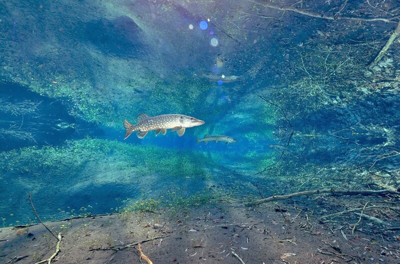 Der unsichtbare Fluss – Bild: SWR