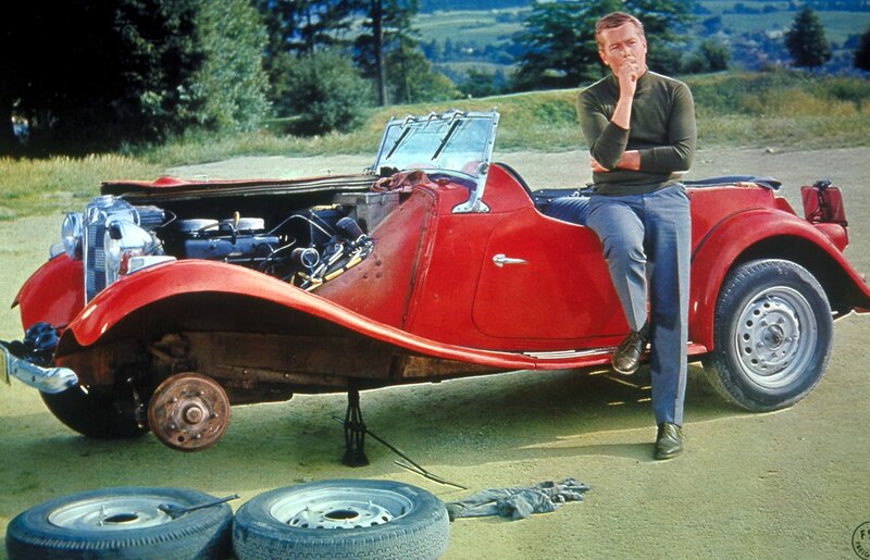 An der Donau, wenn der Wein blüht – Bild: ORF/​Kirch Media