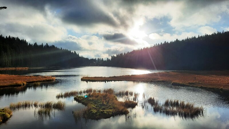 Der Große Arbersee ist einer der meistbesuchten Seen des Bayerischen Waldes. – Bild: BR/​Tangram Film International